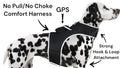 Track Your Pet Anywhere with the Affordable GPS Pet Tracker – Peace of Mind for Just $8/Month