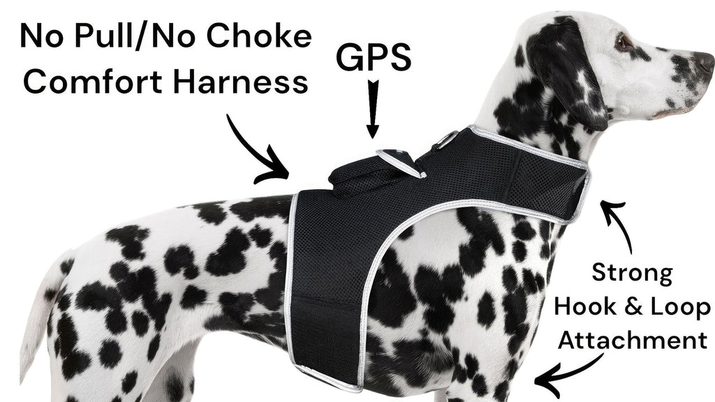 Stay Connected with Your Pet Anywhere – GPS Tracker Harness with Mobile App