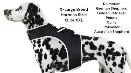 Pet Tracker Mini Portable Collar Mount Tracker GPS for Pets w/ Rechargeable Battery Size:XS