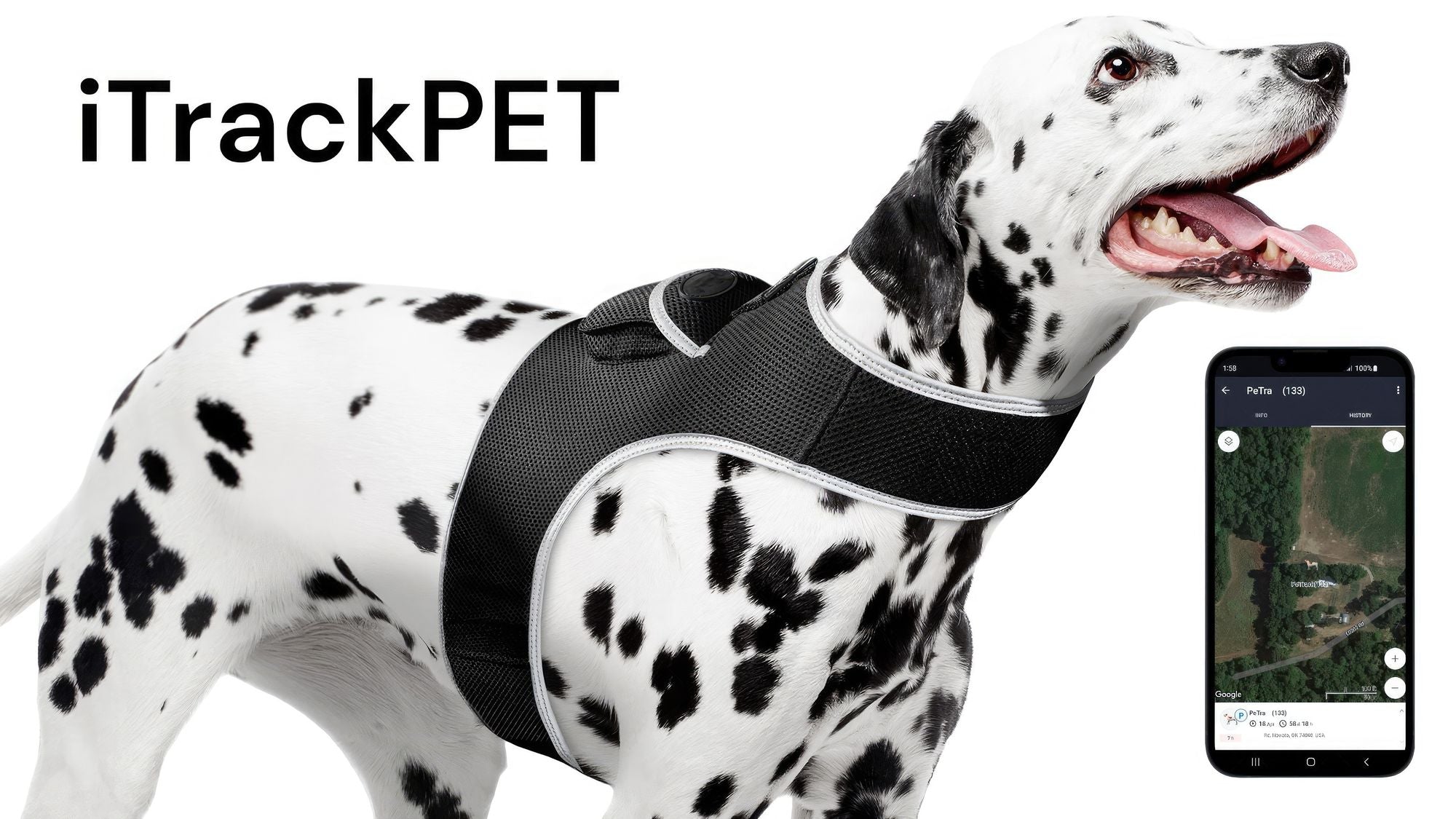 Keep Tabs on Your Pet Anywhere with the GPS Tracking Harness