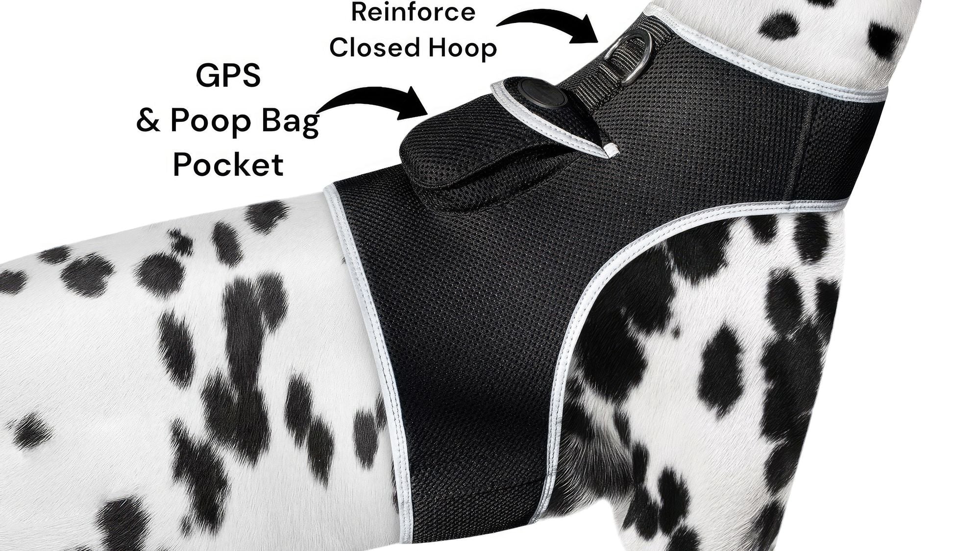 Your Pet's Freedom, Your Peace of Mind – Smallest GPS Tracker Harness