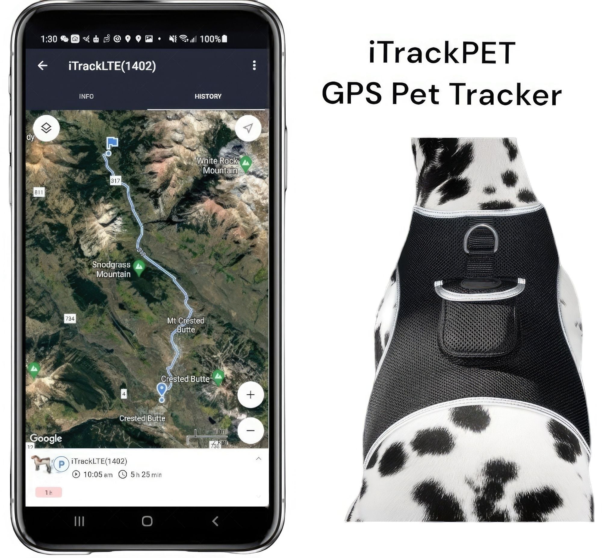 Never Worry Again: Track Your Pet in Real-Time with the Lightweight GPS Harness