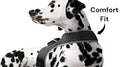 Pet Tracker Waterproof Portable Pet Location Finder - Best GPS Pet Tracker Size:XS