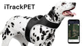Never Worry Where Your Pet Roams – GPS Tracking Made Easy