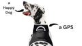Keep Your Pet Safe with the Pet Tracker Wireless GPS Mini Collar - Size L