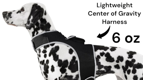 All-Breeds GPS Pet Tracker with Real-Time Tracking & Mobile App – image 1