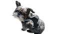 Never Worry About Your Pet's Whereabouts with the Pet Tracker XL GPS Harness