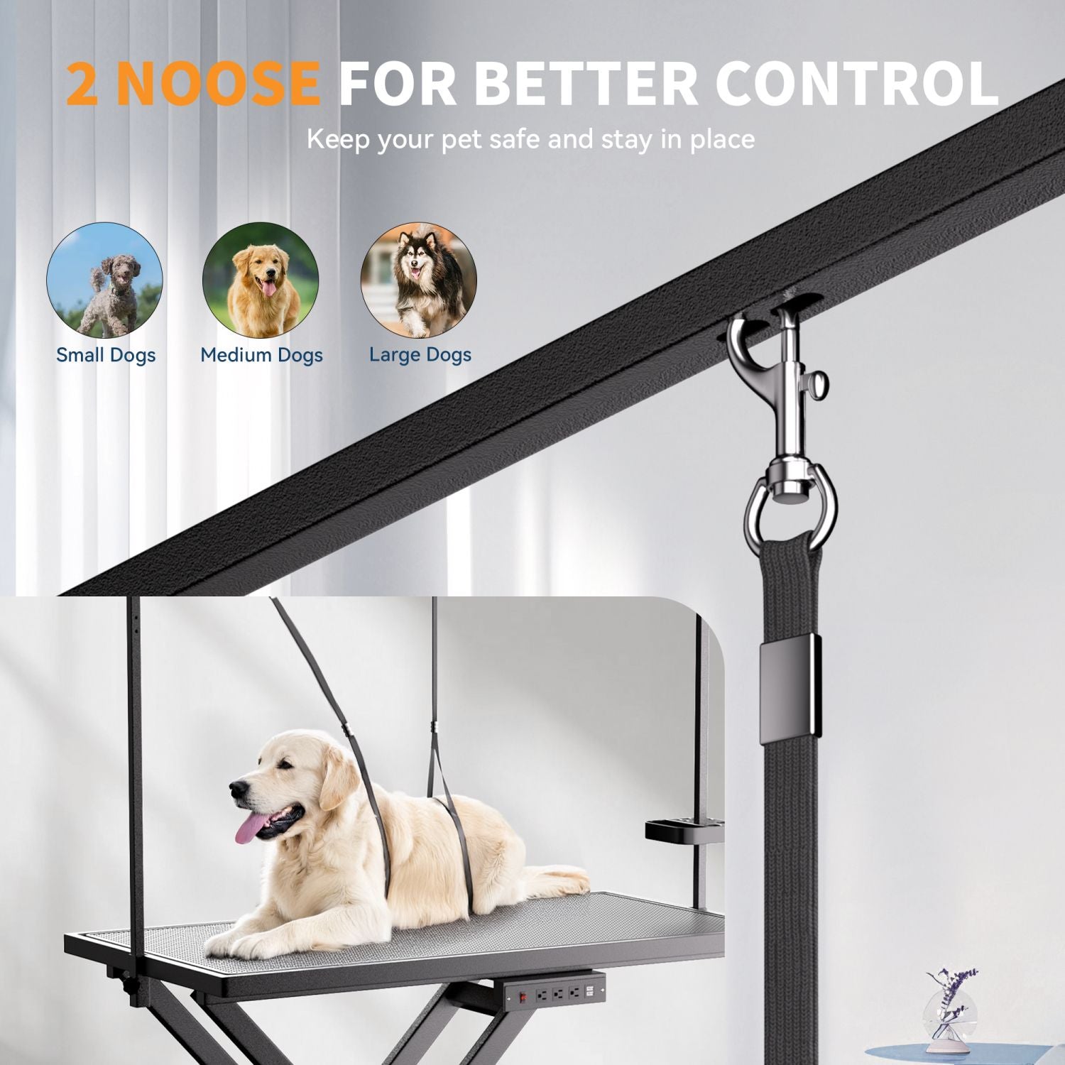 Professional Electric Dog Grooming Table – Height Adjustable & Anti-Slip
