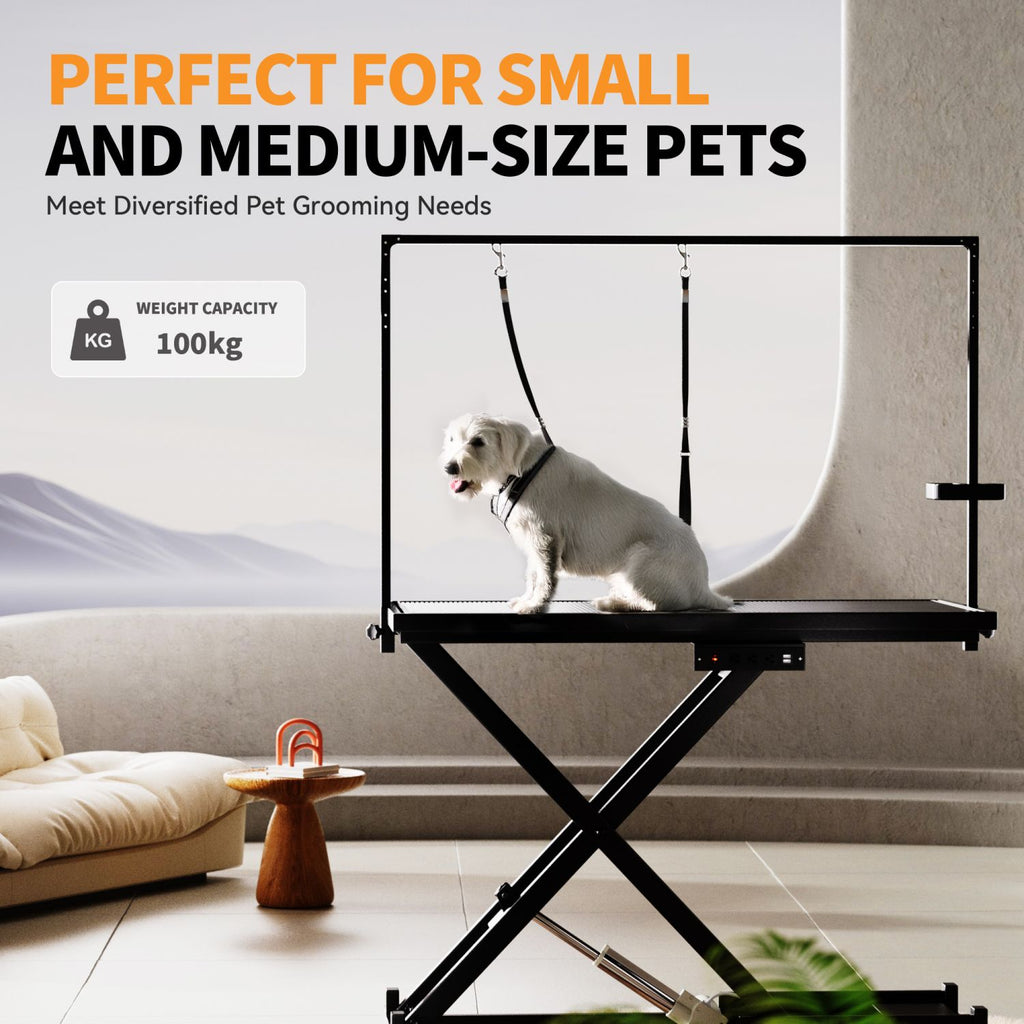 Professional Electric Dog Grooming Table – Height Adjustable & Anti-Slip