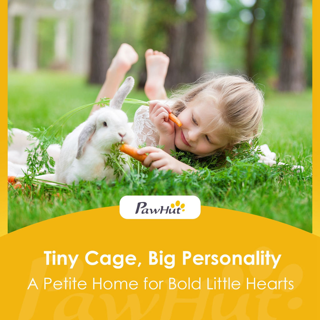 Triangular Rabbit Hutch with Run and Easy-Move Design