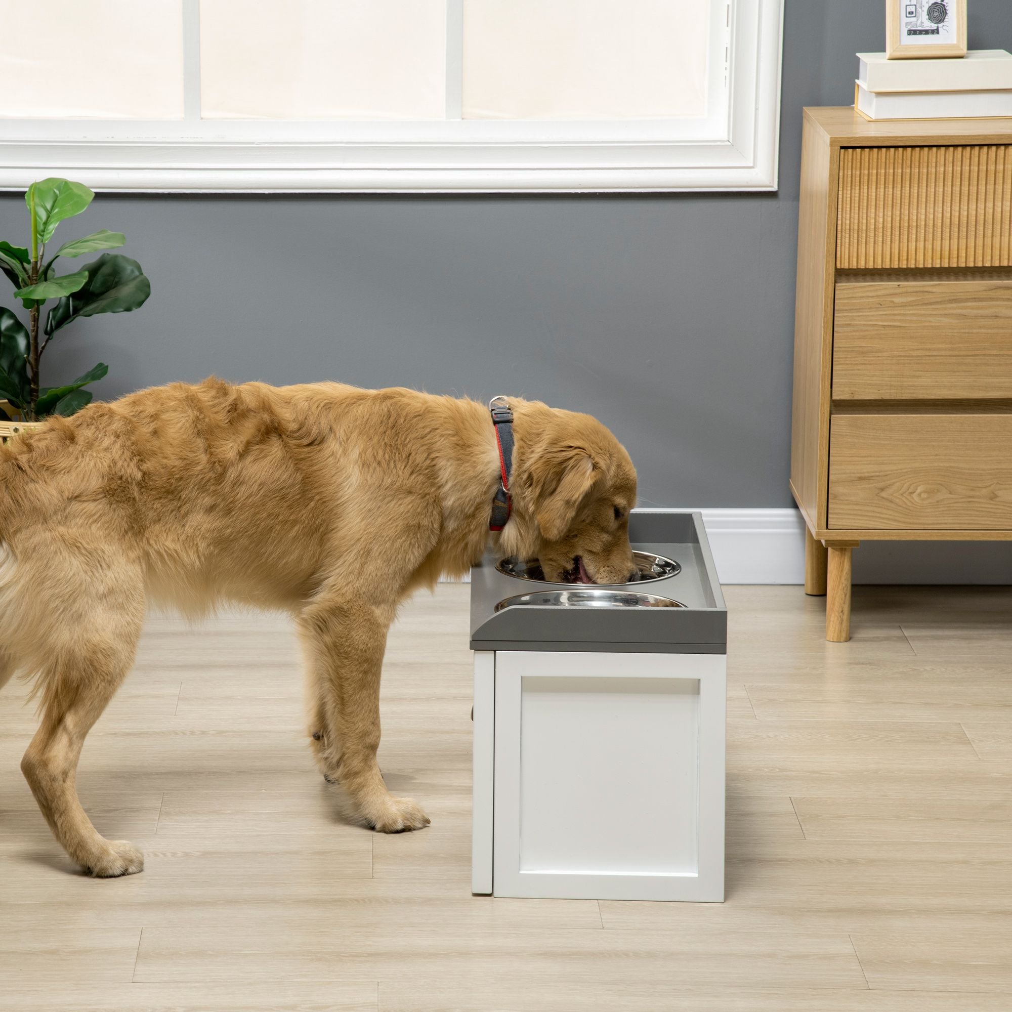Elevate Your Dog's Dining with a Raised Feeder & Storage Drawer