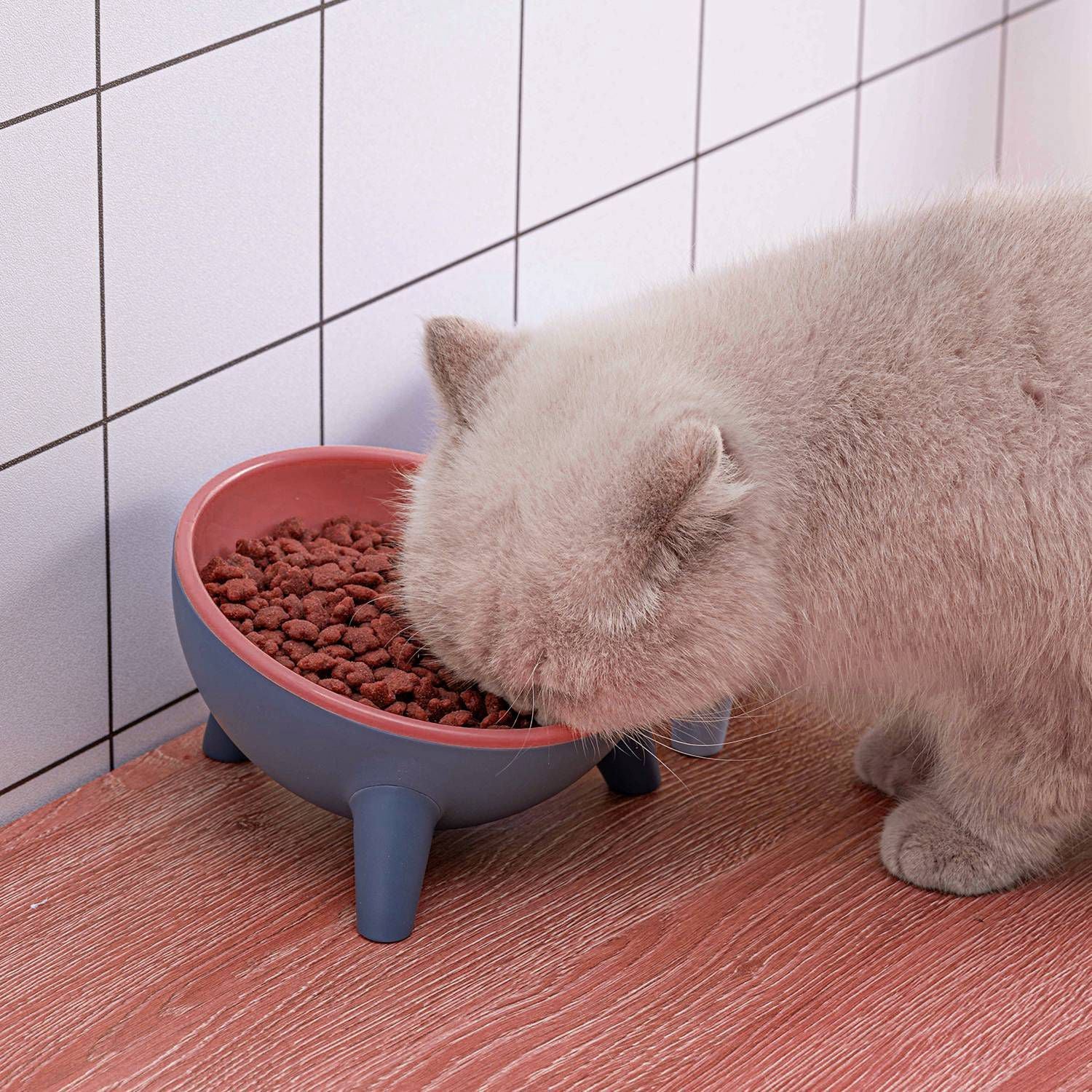 Raised Tilted Cat Food Bowl with Backflow-Resistant Water Dish