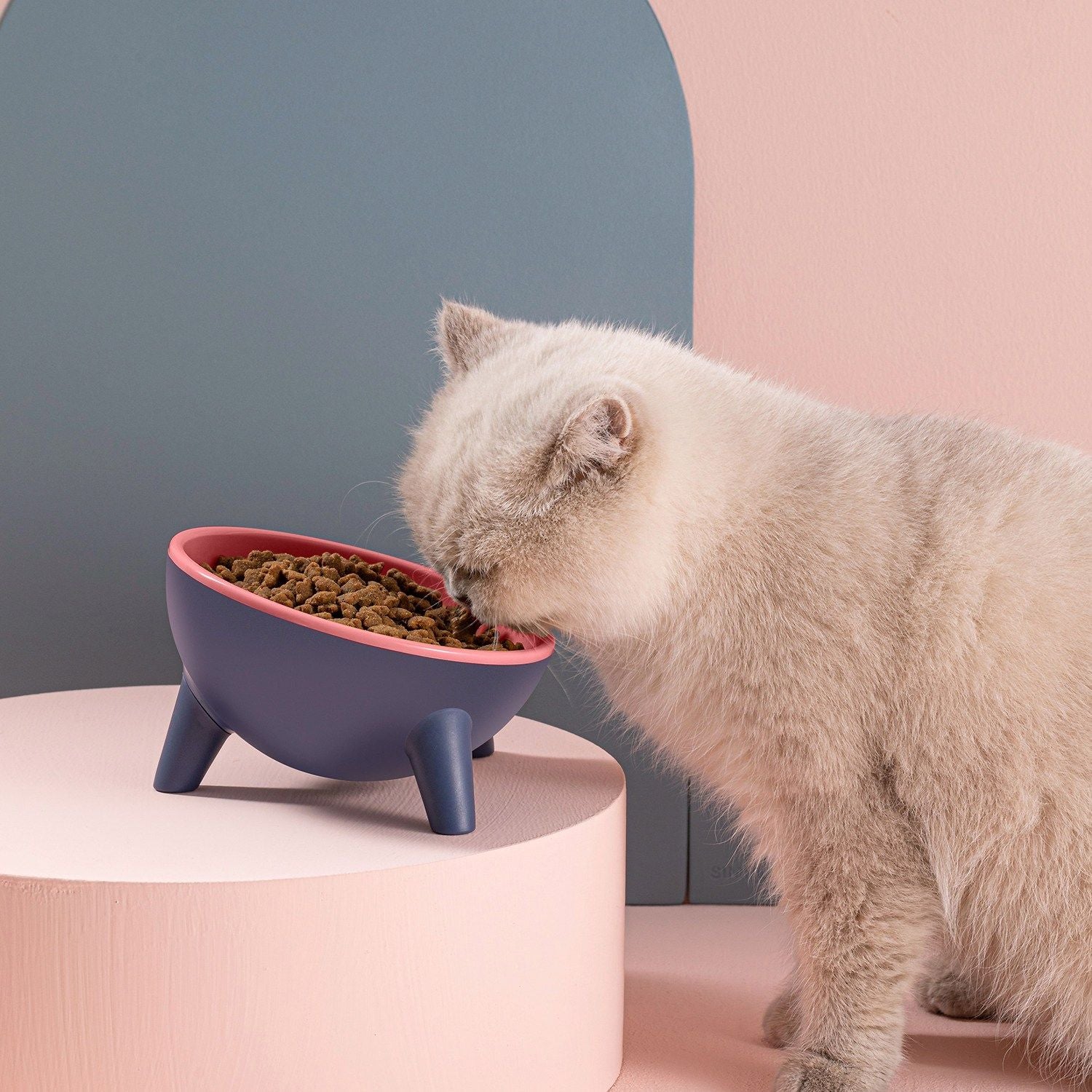 Raised Tilted Cat Food Bowl with Backflow-Resistant Water Dish