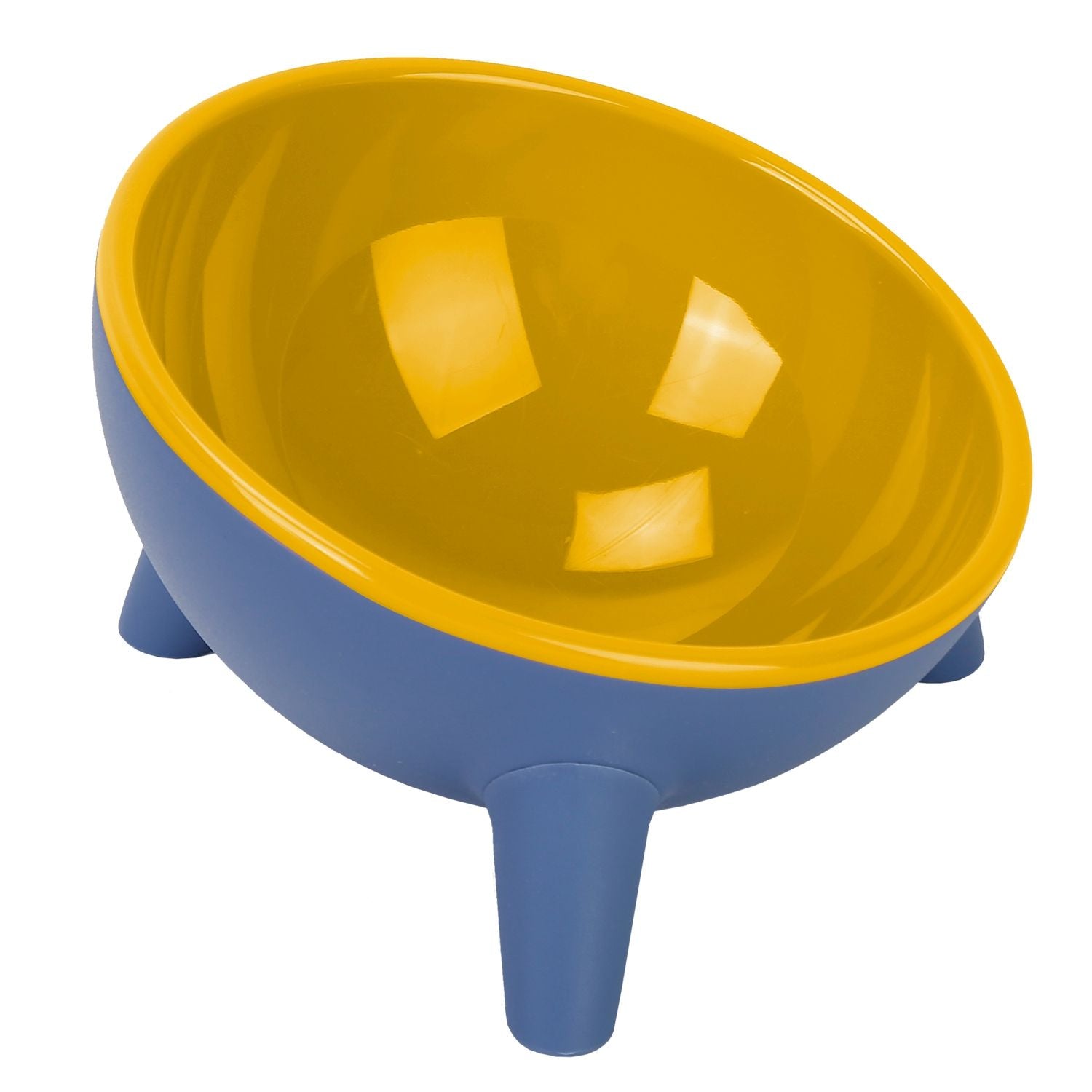 Raised Tilted Cat Food Bowl with Backflow-Resistant Water Dish