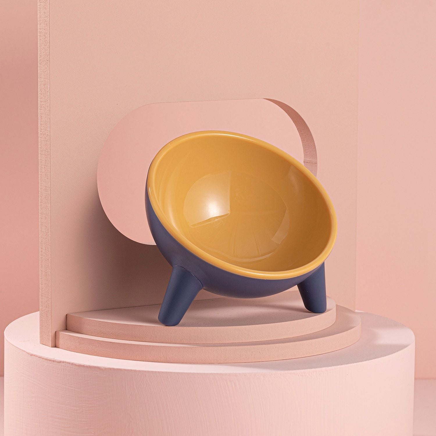 Raised Tilted Cat Food Bowl with Backflow-Resistant Water Dish