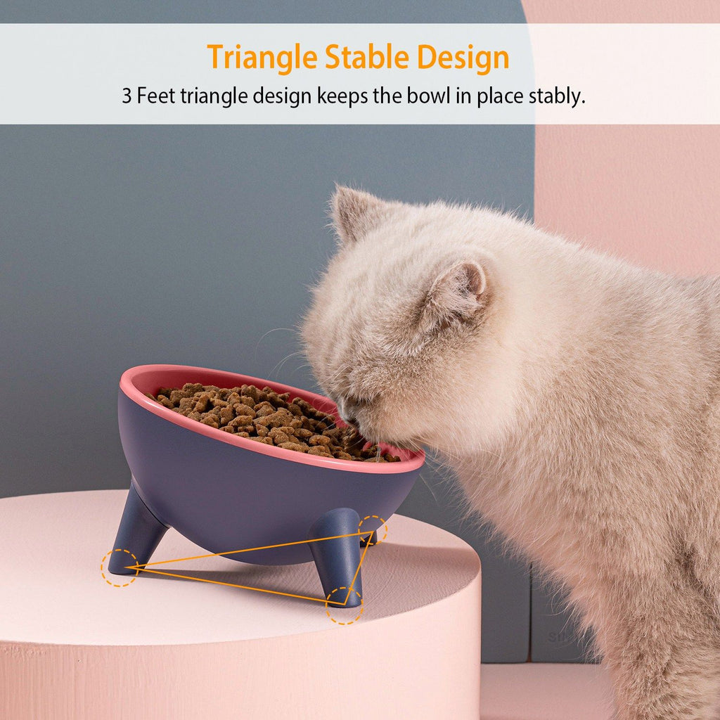 Raised Tilted Cat Food Bowl with Backflow-Resistant Water Dish