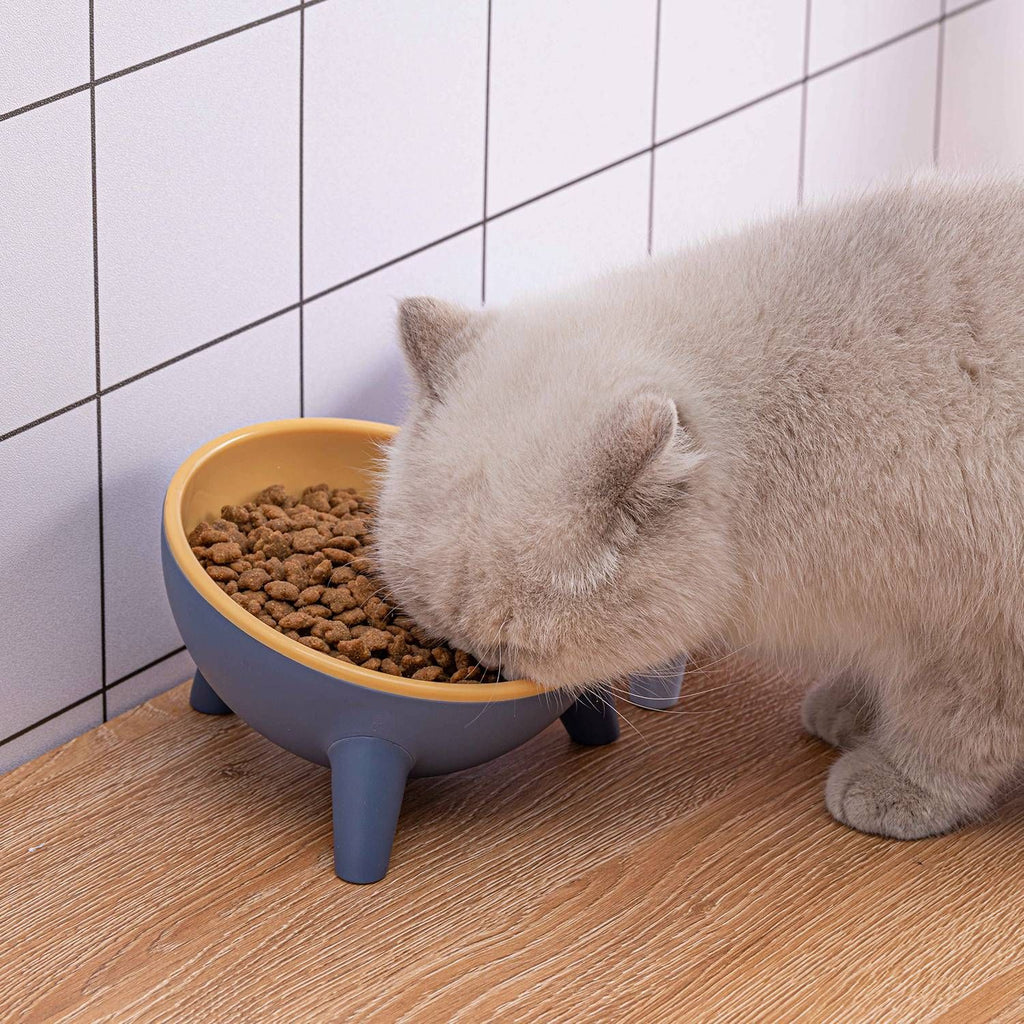 Raised Tilted Cat Food Bowl with Backflow-Resistant Water Dish