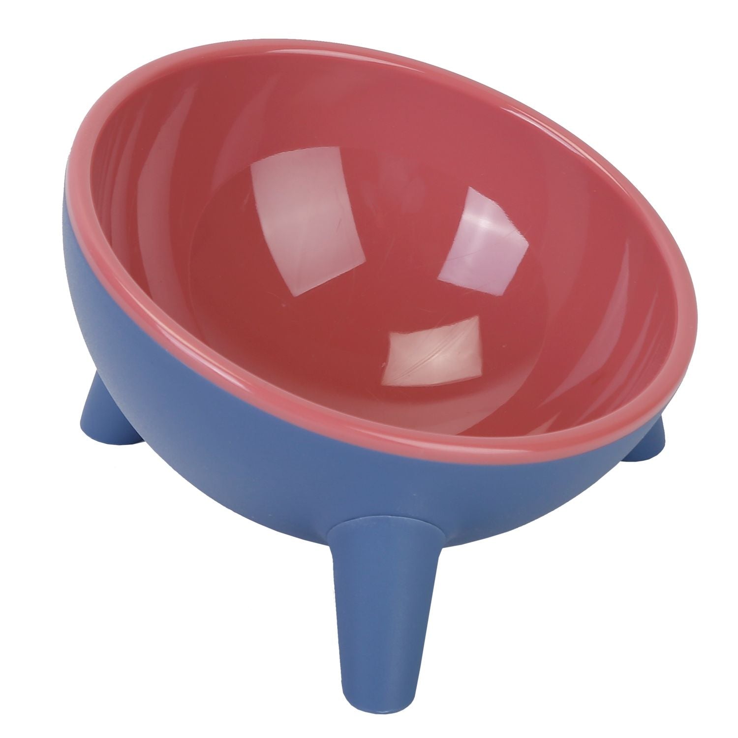 Raised Tilted Cat Food Bowl with Backflow-Resistant Water Dish