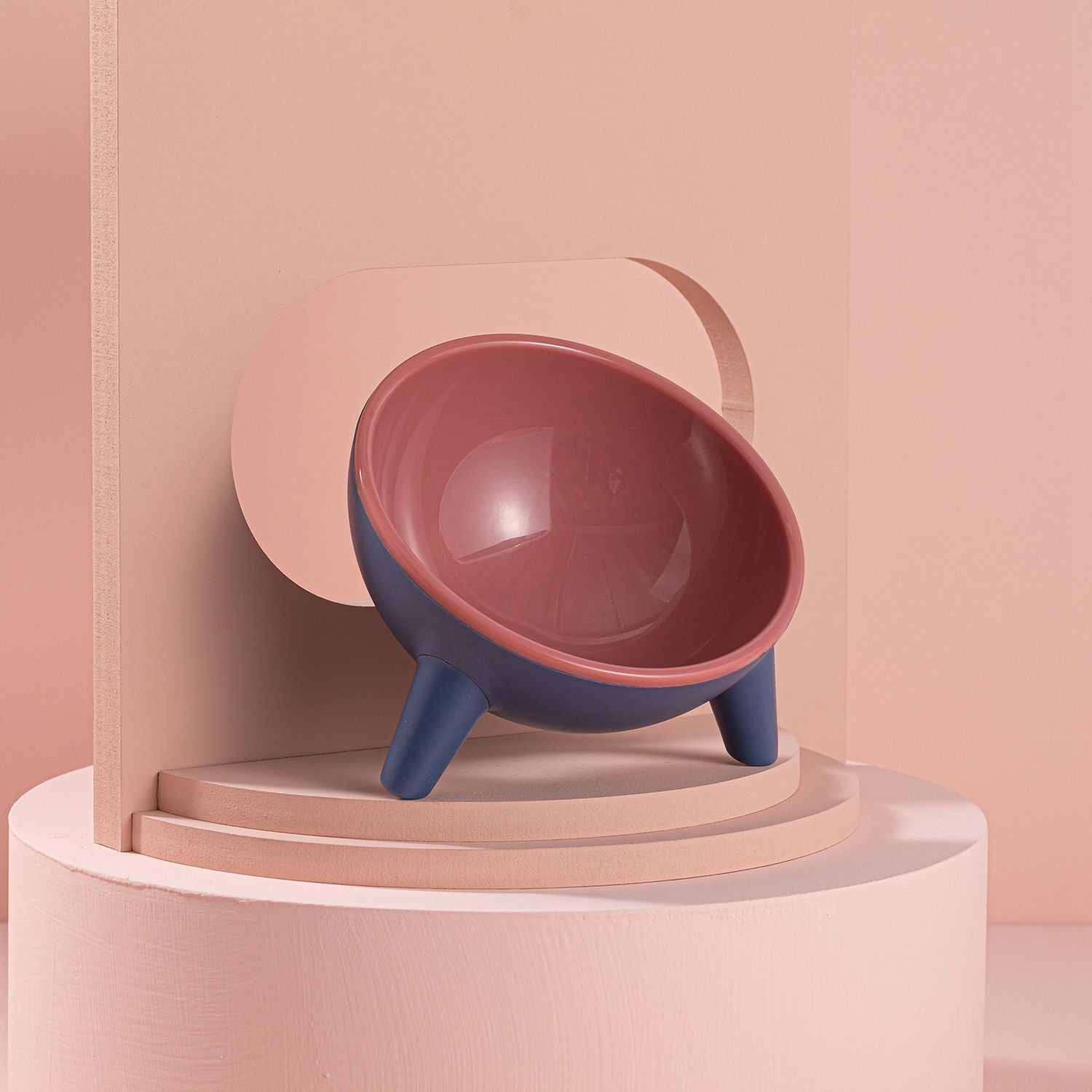 Raised Tilted Cat Food Bowl with Backflow-Resistant Water Dish