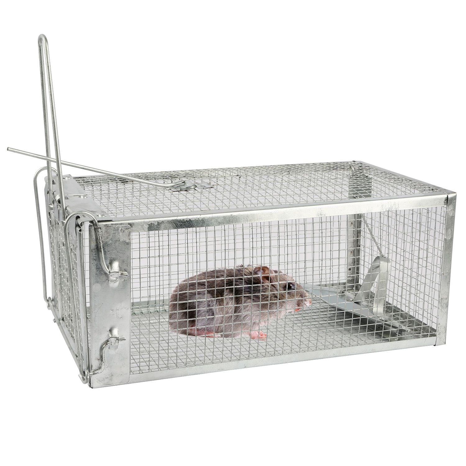 Rat Trap Cage Humane Live Rodent Trap Cage Galvanized Iron Mice Mouse Control Bait Catch with Detach