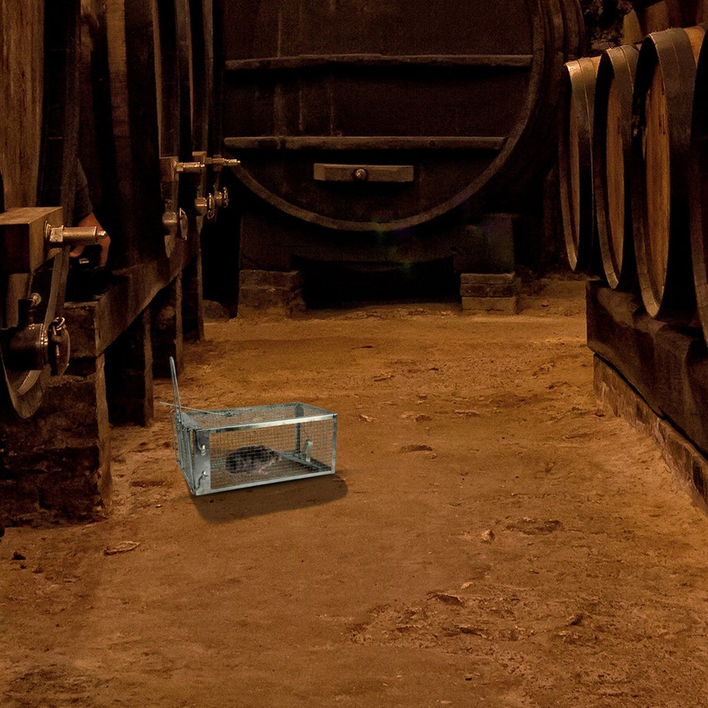 Rat Trap Cage Humane Live Rodent Trap Cage Galvanized Iron Mice Mouse Control Bait Catch with Detach