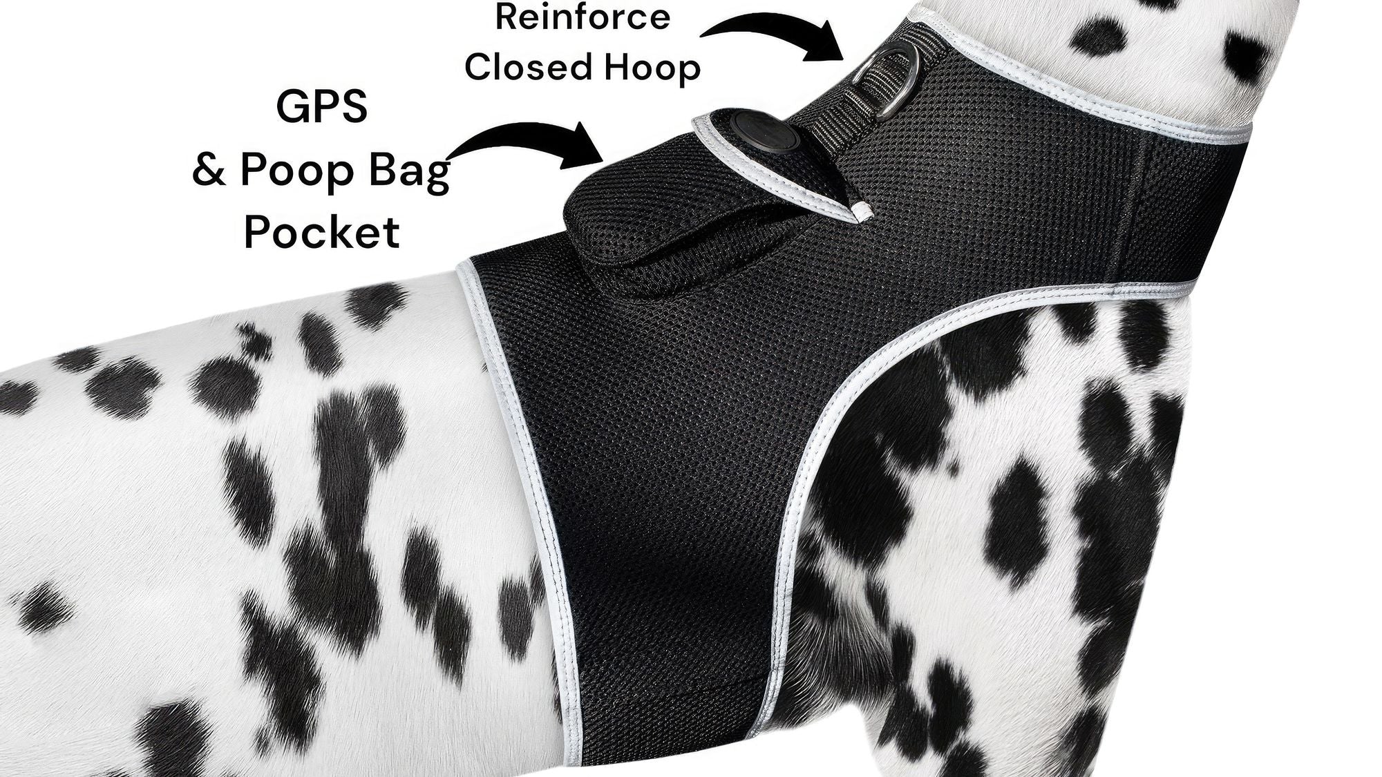 Track Your Pet in Real Time – Lightweight GPS Harness with App
