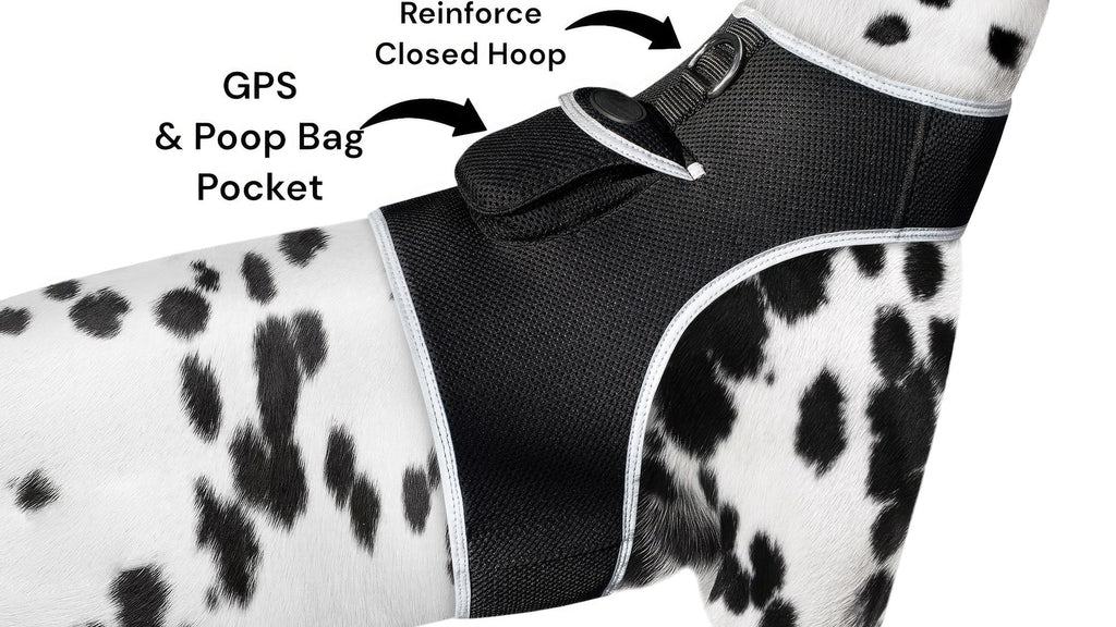 Track Your Pet in Real Time with the Lightweight Pet Tracker XS GPS Harness