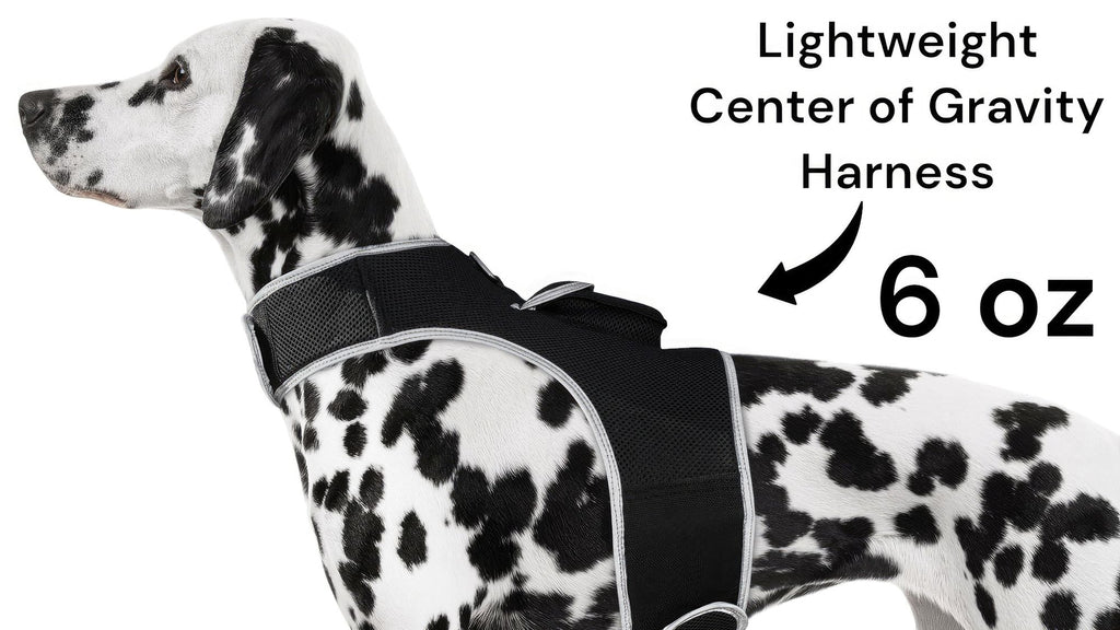 Track Your Pet Anywhere with the Rechargeable GPS Harness – No Contracts, Low Cost