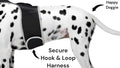Never Lose Sight of Your Pup with the Pet Tracker XL GPS Harness