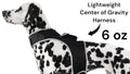 Never Worry Where Your Pet Roams – Real-Time GPS Tracking at Your Fingertips