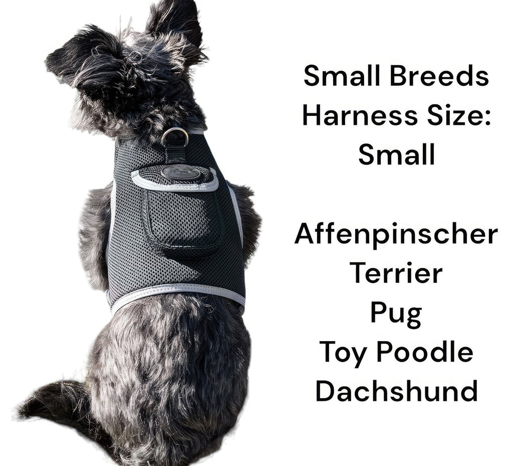 Track Your Pet Anywhere with the Rechargeable GPS Pet Locator Harness
