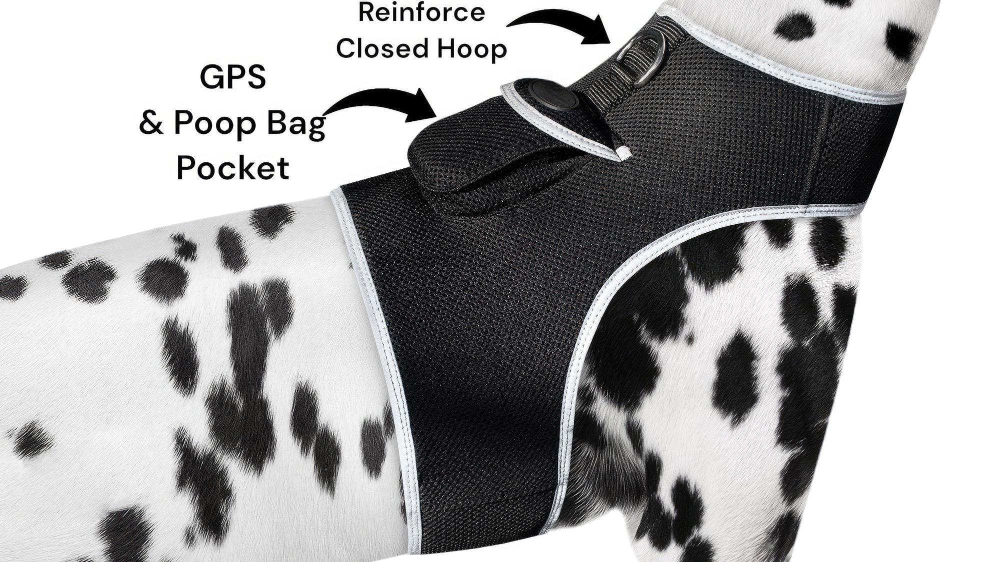 Track Your Pet Anywhere with the Rechargeable GPS Pet Locator – Peace of Mind on Every Adventure