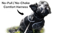 Find Your Pet Instantly with a Lightweight GPS Tracker — Just $8/Month