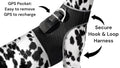 Track Your Pet in Real Time with the Pet Tracker XL GPS Harness – Affordable & Easy!