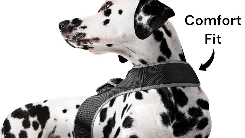 Track Your Pet in Real Time with Rechargeable GPS Harness – $8/Month, No Contracts