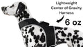 Never Worry Where Your Pet Roams – GPS Tracking in a Comfort Harness