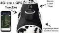 Keep Your Pet Safe with Real-Time GPS Tracking Harness