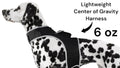 Stay Connected to Your Pet Anywhere with Pet Tracker XL GPS Harness