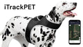 Never Lose Sight of Your Pet – GPS Tracking Harness with App & Low-Cost Service