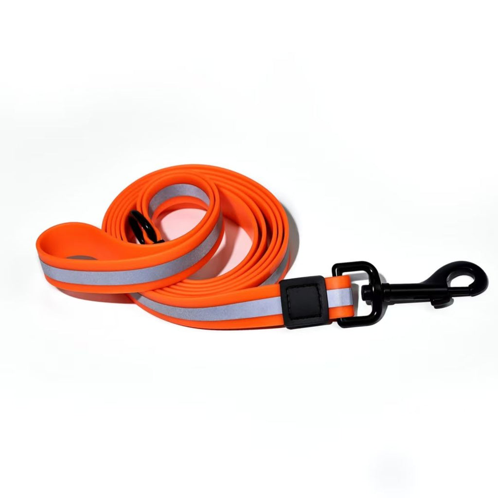 practical water-ready Reflective Dog Leash & Collar Set