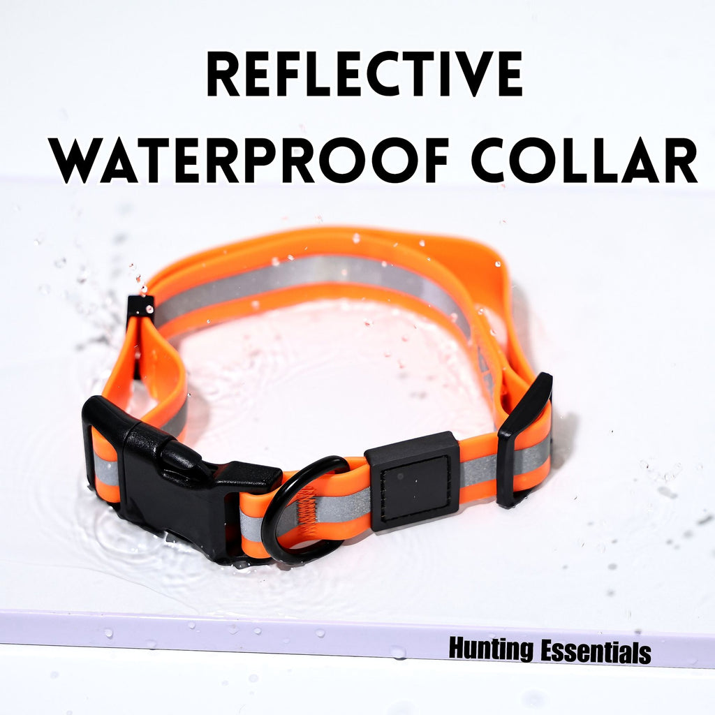 practical water-ready Reflective Dog Leash & Collar Set