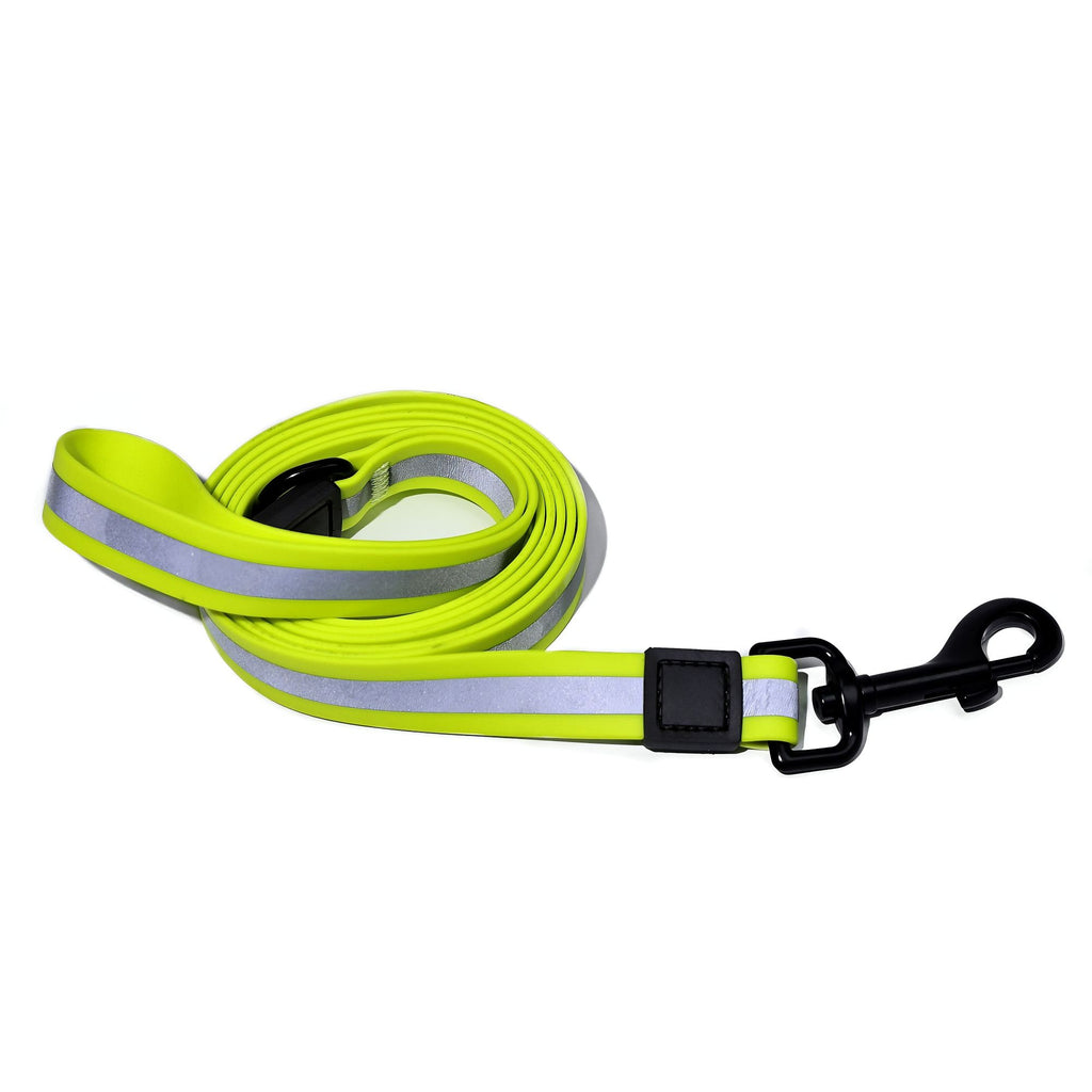 practical water-ready Reflective Dog Leash & Collar Set