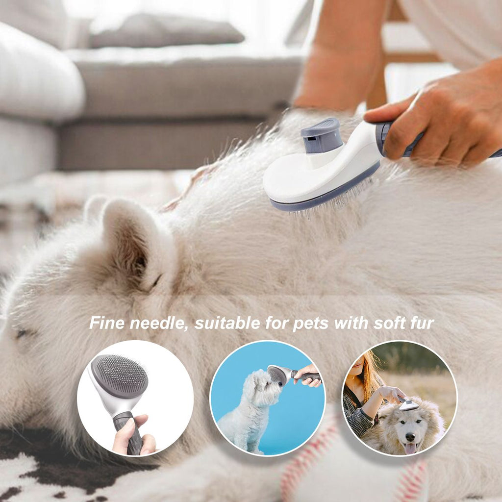 Pamper Your Pet with a Soothing Massage Grooming Experience