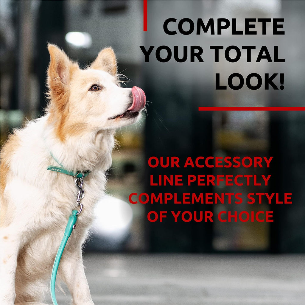 Glamour Leather Dog Leash – everyday, Soft, and Stylish in 5 Sizes