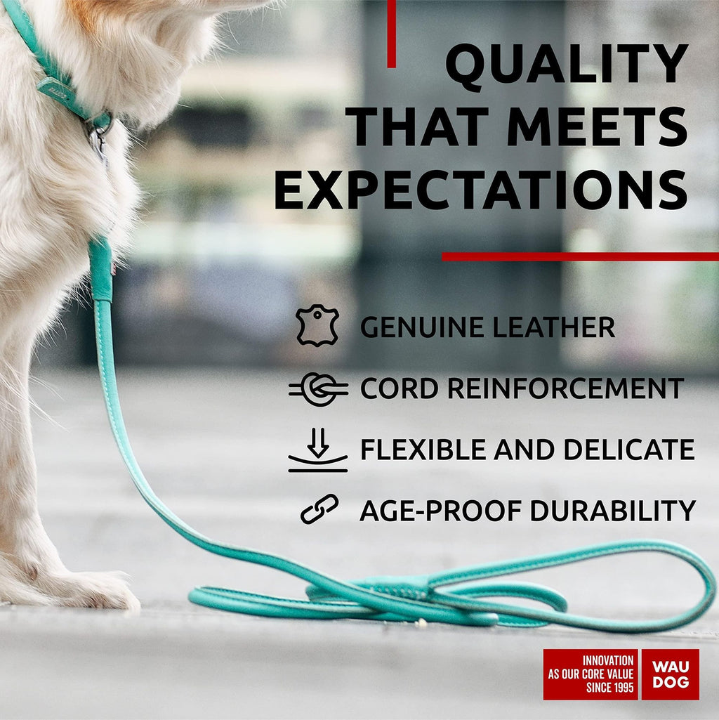 Glamour Leather Dog Leash – everyday, Soft, and Stylish in 5 Sizes