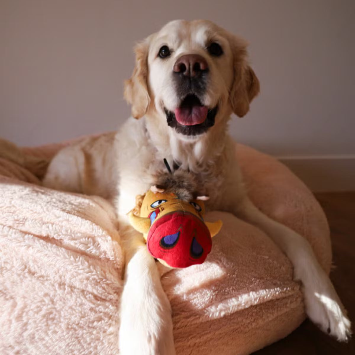 Crinkle-and-Squeak Dog Toy with an Inner Toy to Discover