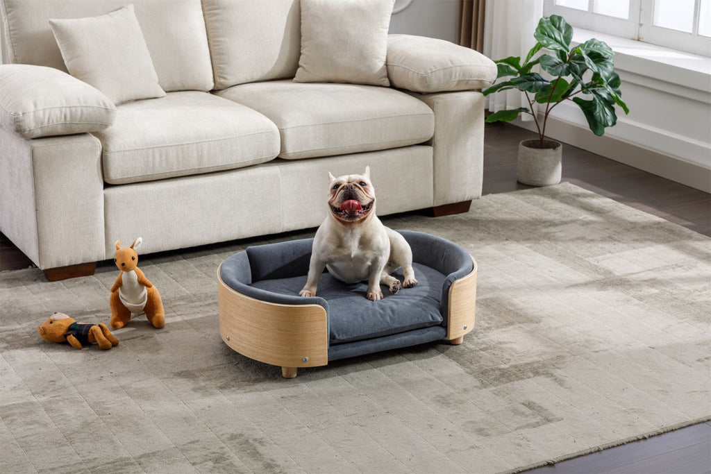 Scandinavian style Elevated Dog Bed Pet Sofa With Solid furniture-style legs and Bent furniture-style Back, Velvet Cushion