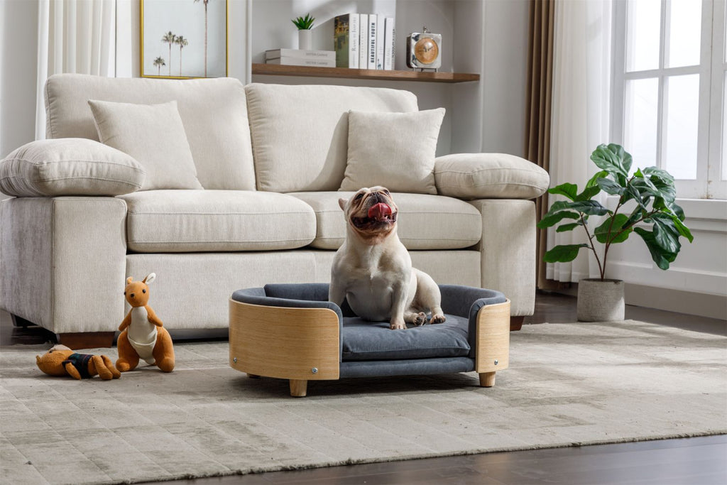 Scandinavian style Elevated Dog Bed Pet Sofa With Solid furniture-style legs and Bent furniture-style Back, Velvet Cushion