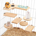 Hamster Cage Shaped Round Hole Set - Exercise & Mental Stimulation