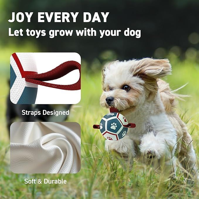 Small Dog Toys, Puppy Balls, Dog Balls with Straps for Small Breed, Soccer Ball for Dogs, Puppy Toys, Dog Birthday Gift (Blue Red, 3.5 inch)